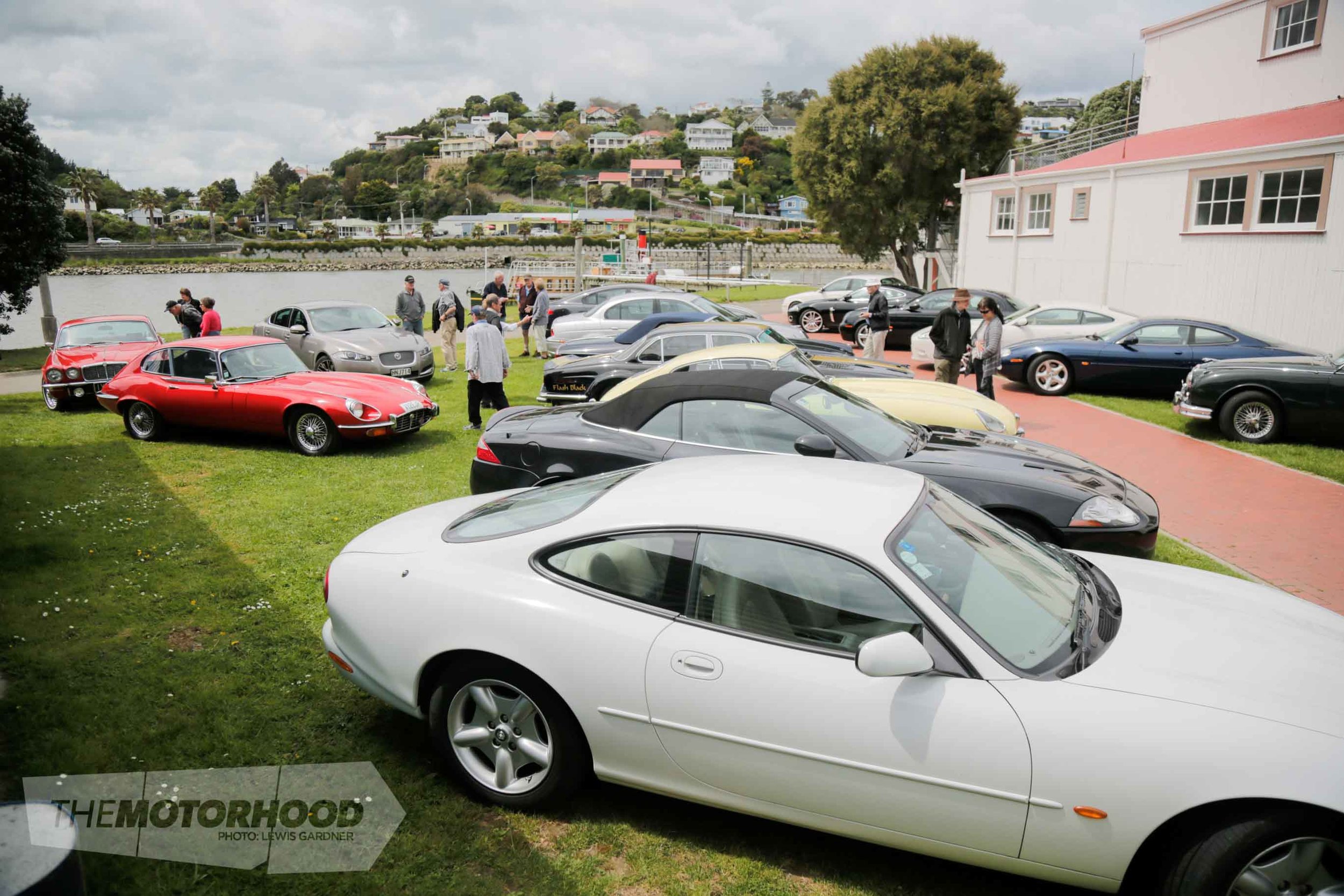 Classic_Car_Bay_of_Plenty_Jaguars_Wanganui-5.jpg